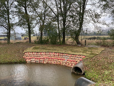 Erosion after pics.