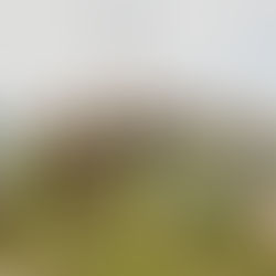 How To Plan An Eco-Friendly Hen Party