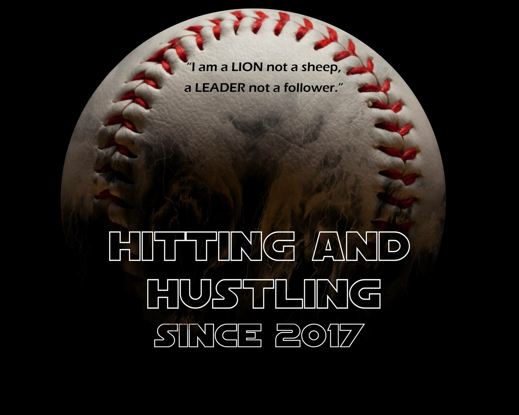 Home Colorado Springs Mountain Lions