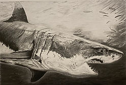 KING OF THE SEA