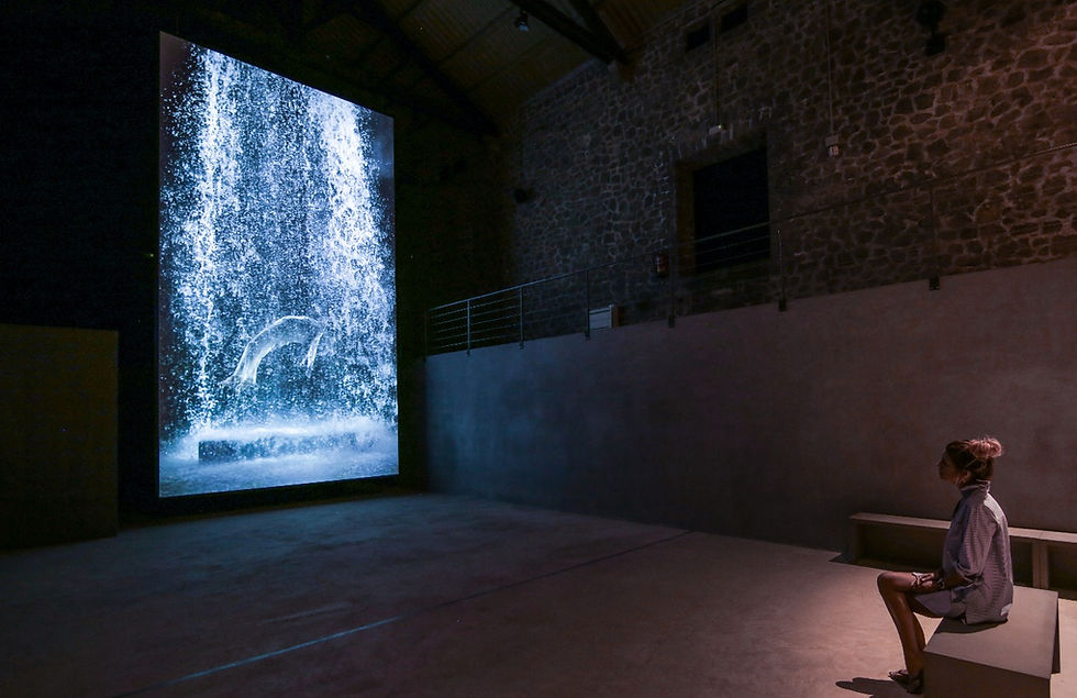 LA NAVE SALINAS_Bill Viola_Install Tristans Ascencion. Credit Vitorino_edited.jpg