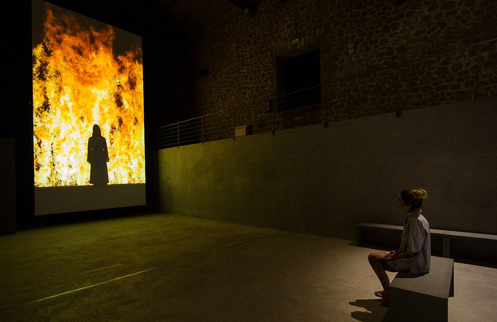 LA NAVE SALINAS_Bill Viola_Install Fire Woman. Credit Vitorino_edited.jpg