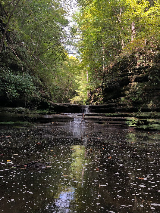 nature pic 2.jpg