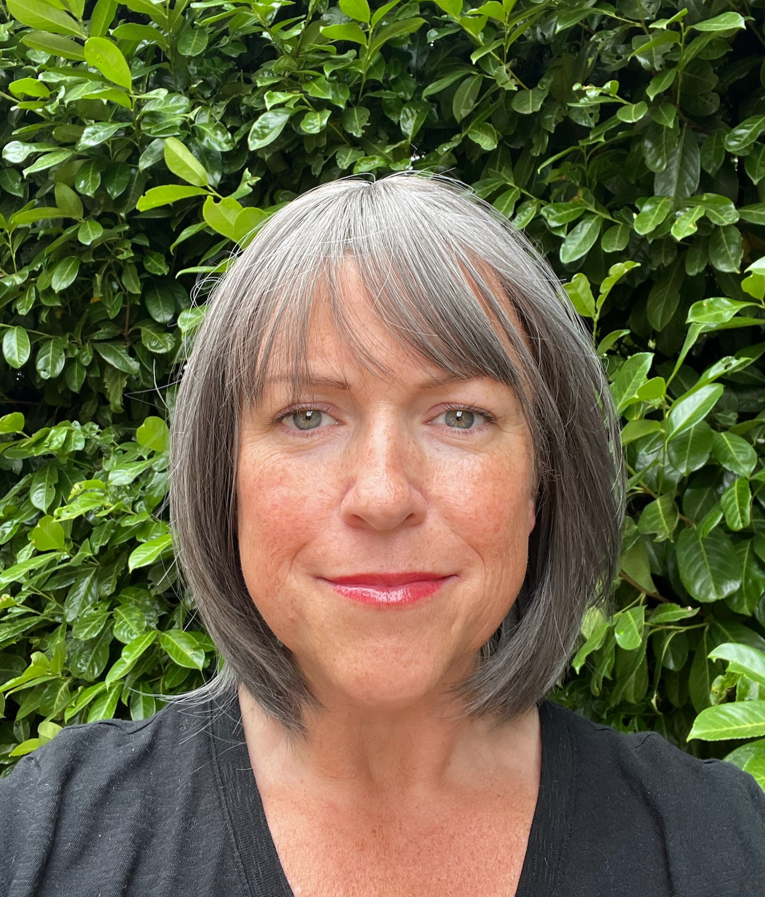The Wig - Alex - grey highlights