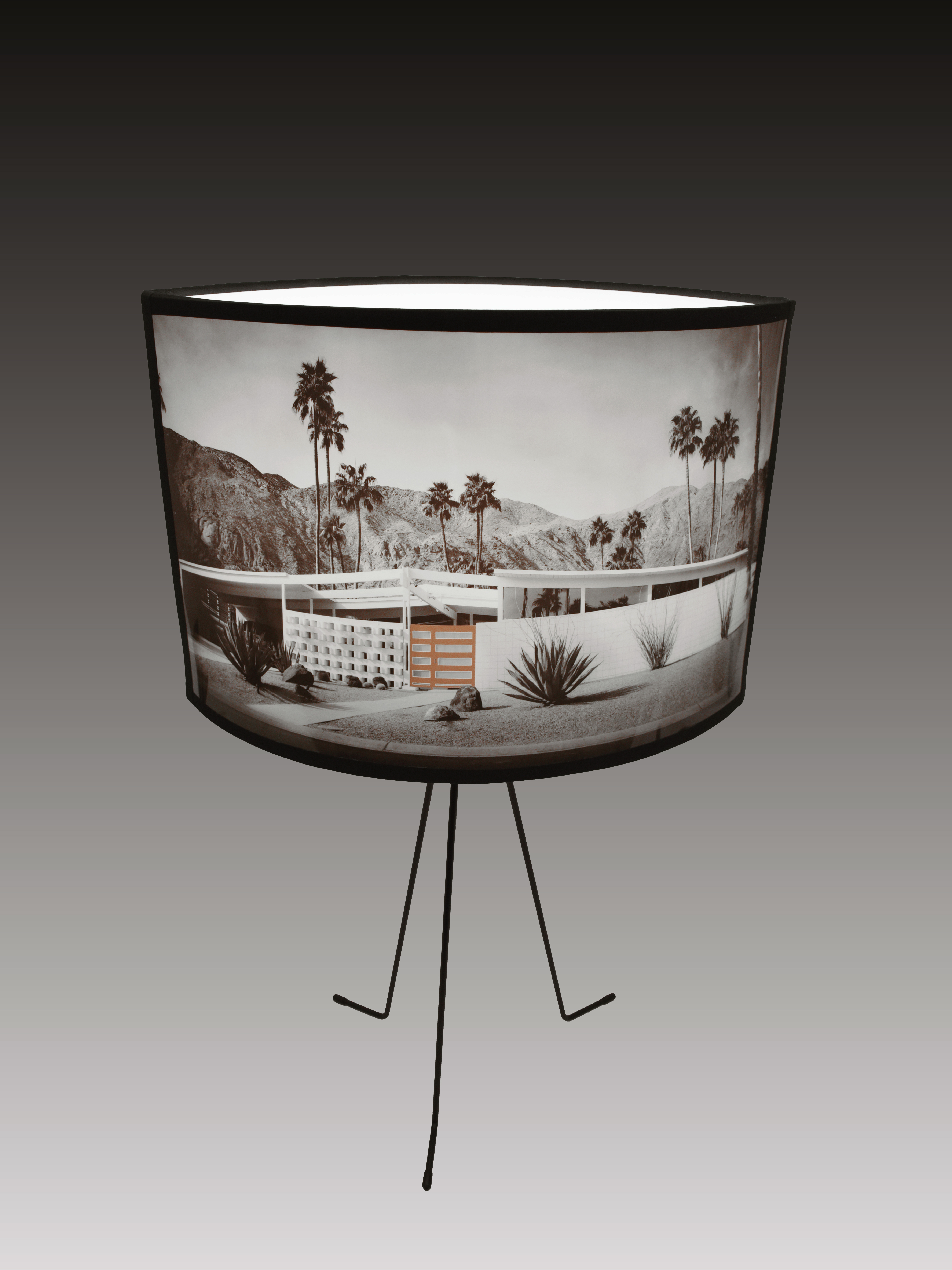 Palm Spring , Mid Century lamp