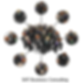 SAT Business Consulting - Business Services - Tucson, AZ