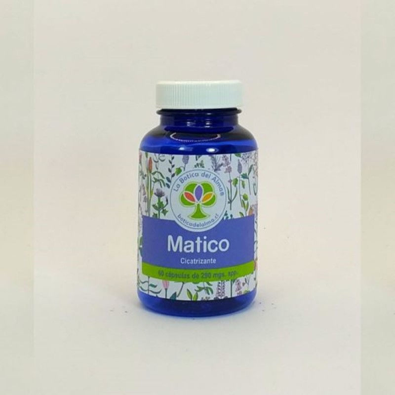 Matico capsulas medicinales 60 unidades de 290 miligramos