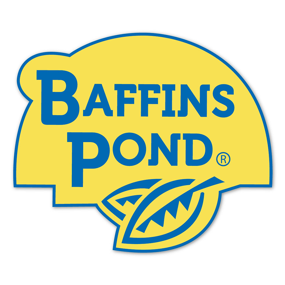 Thumbnail: BAFFINS BOAT PRINT