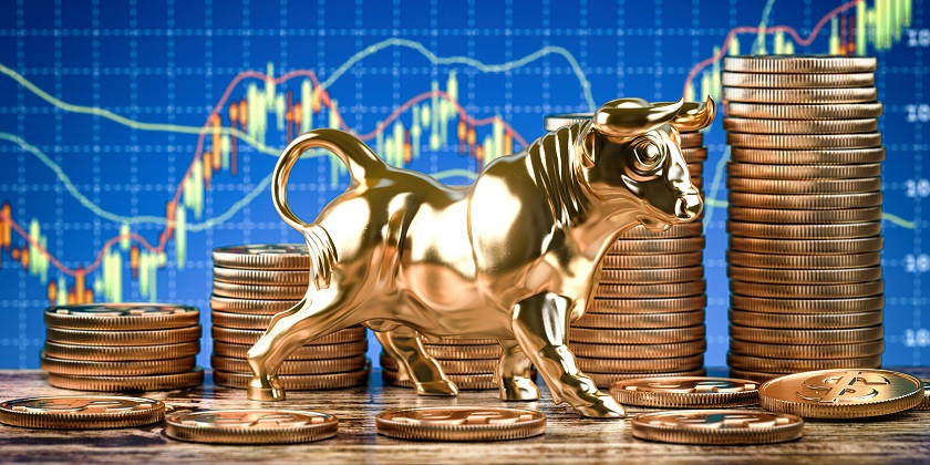 Swiss Security Solutions - Investment Relations