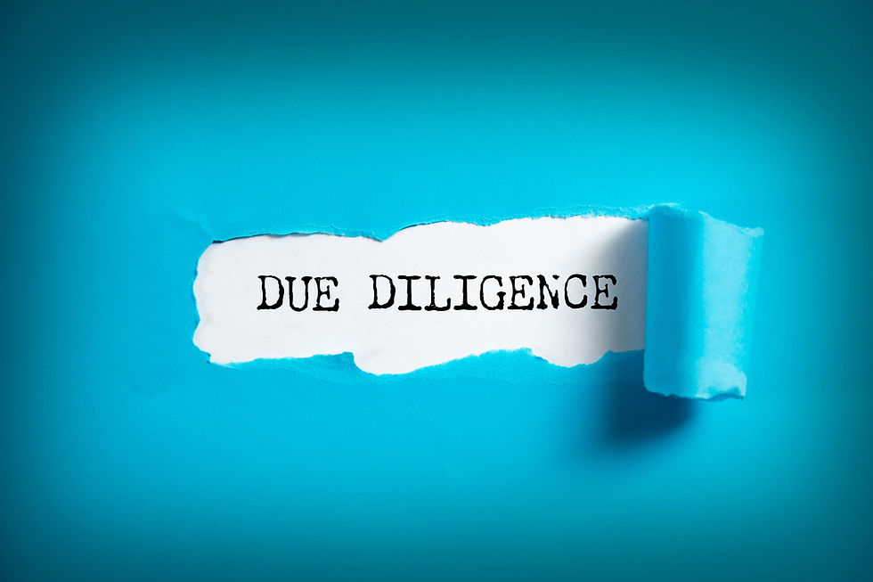 Due Diligence Investigations Swiss Detective Agency