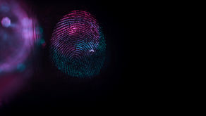 Private Investigations as a Tool for Investors, Businesses, Family Offices and Private Persons