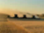 0BA38C96-C3DC-4CAD-98A6-01A45937F635.jpeg