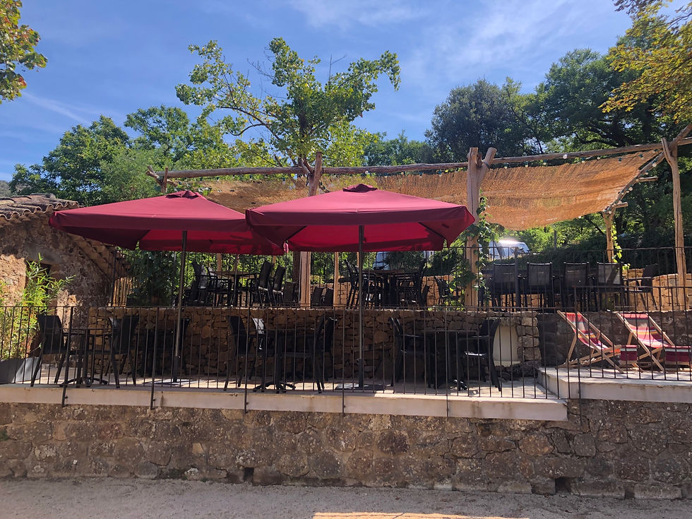 parasols professionnels -resistant au vent fort - 2,5x2,5m -c amping