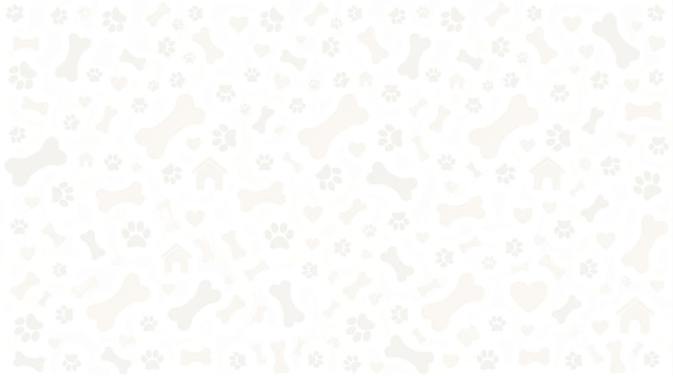 Startseite_Header_gekürtzt.jpeg