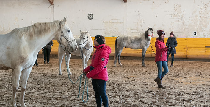 Liza-brume_éducationéquin-en-manege-avec-Madeline (3).jpg