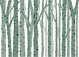 Green Pattern.png