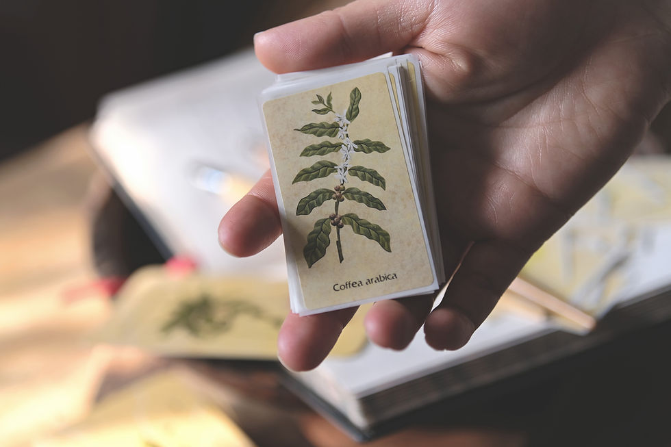 Thumbnail: Botanical Sticker sets • Book of Shadows • Personal herbal notebook decoration