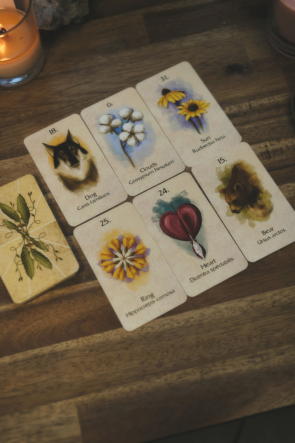 Thumbnail: Natural Lenormand oracle deck
