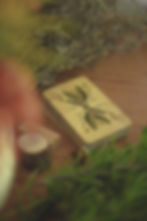 Thumbnail: Venelestis Medicatrix  botanical oracle deck exploring plants as medicine and poison, features 49 medicinal and toxic species