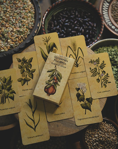 Venelestis Fructifera botanical oracle