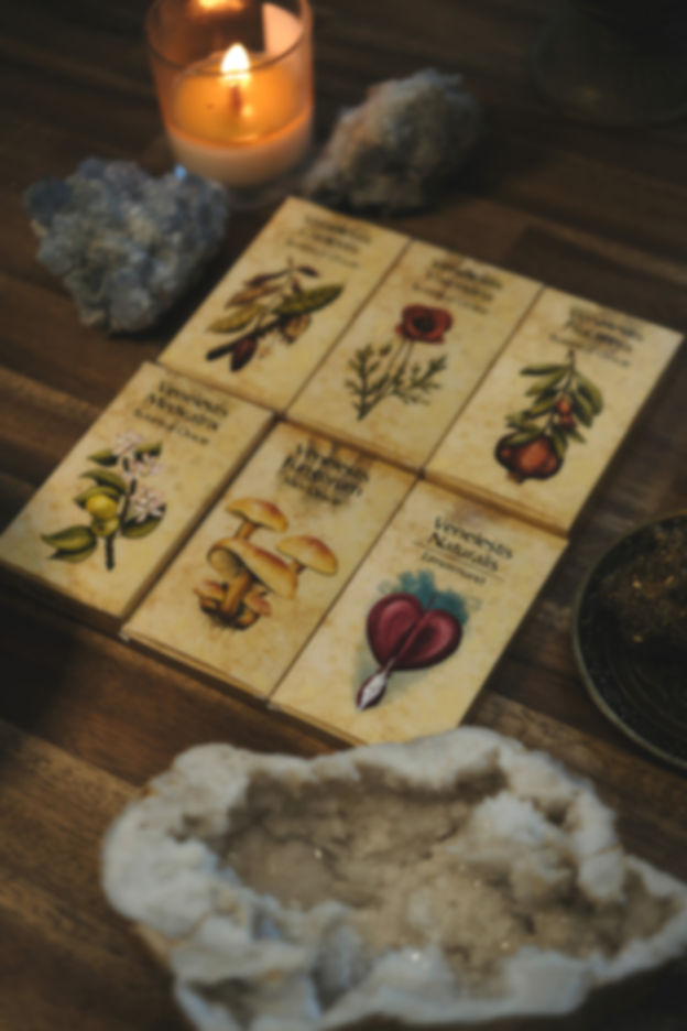 Botanical oracle deck collection