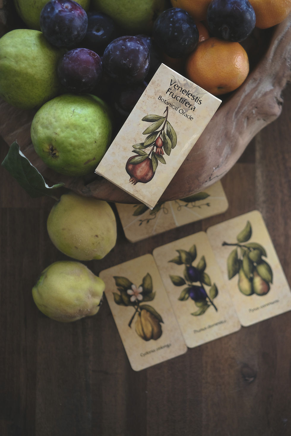 Thumbnail: Venelestis Fructifera Botanical Oracle Deck • Fruits vegetables and edibles