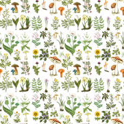 10 (2).png
