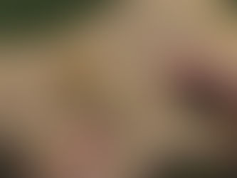 How to Use Botanical Oracle Decks?