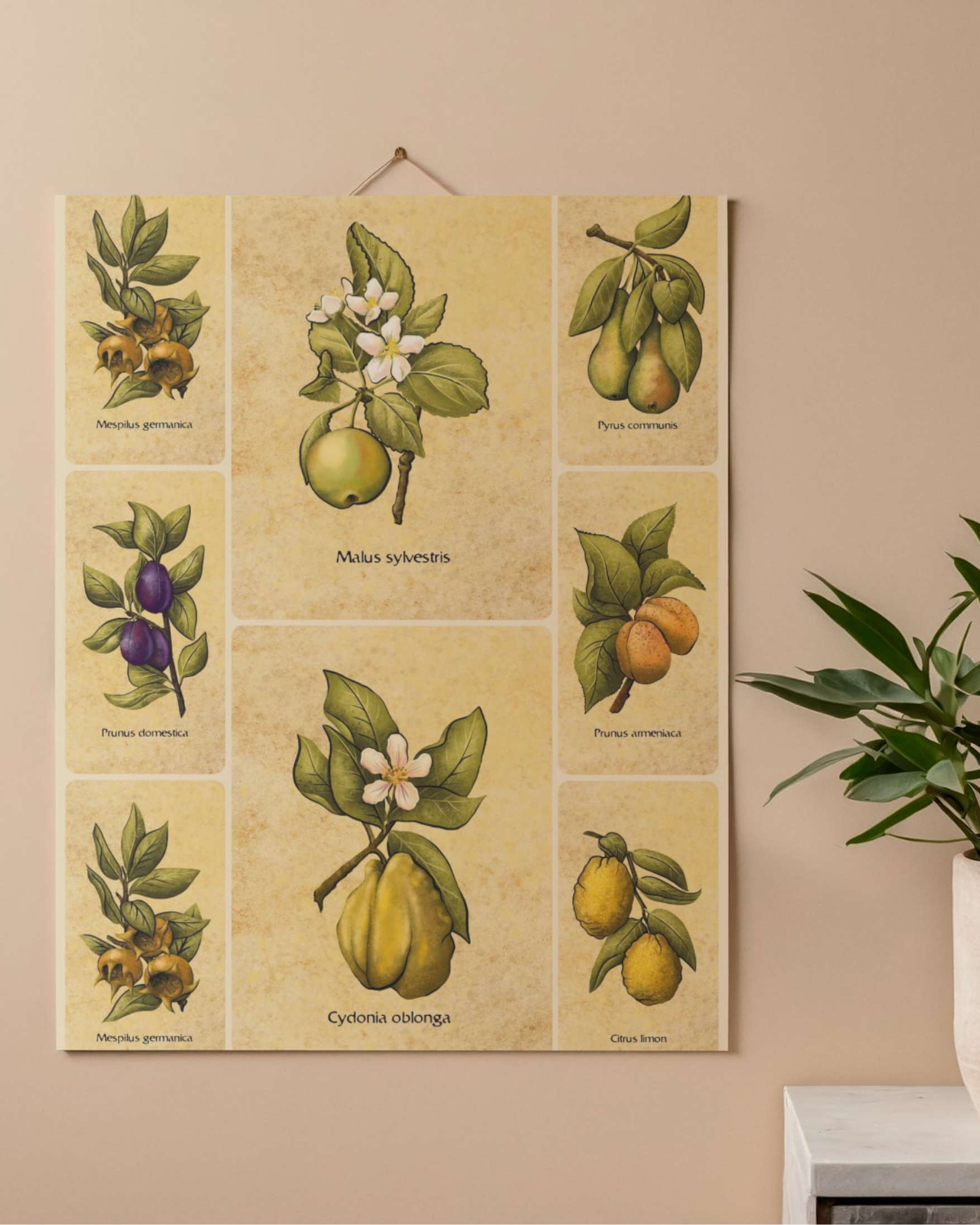 Abundant Orchard | Kitchen Witch Botanical illustration | Printable