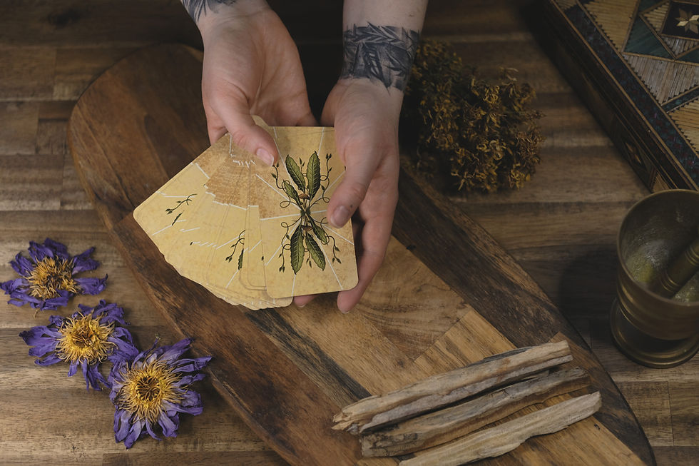 Thumbnail: Botanical oracle deck for divination and plant magic featuring medicinal plants, mushrooms, and companions