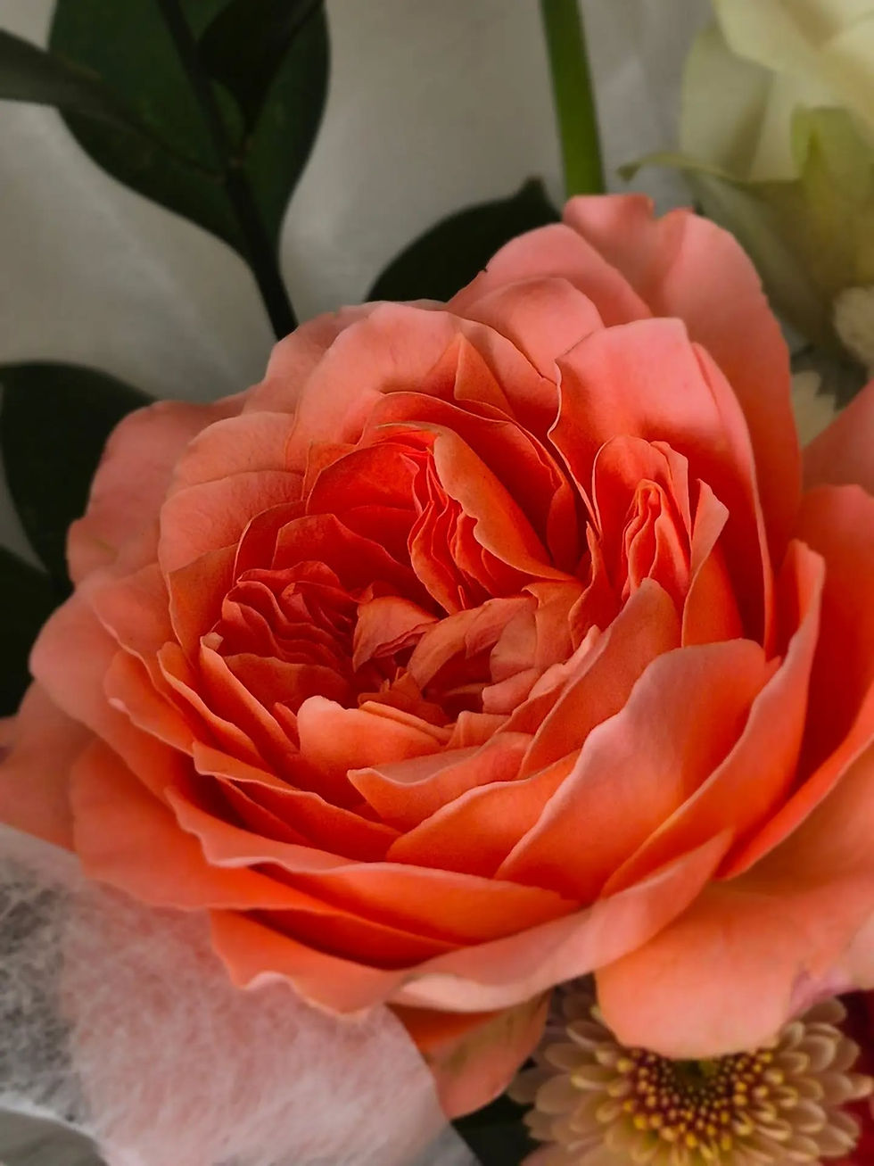 18006076151730056.webp