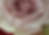 18412449460178169_edited.png