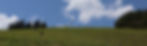 4970367_m_edited.jpg