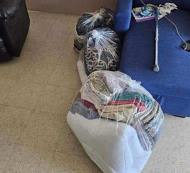 Bed bug prep laundry service.jpg