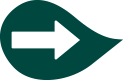 petalo flecha verde.png