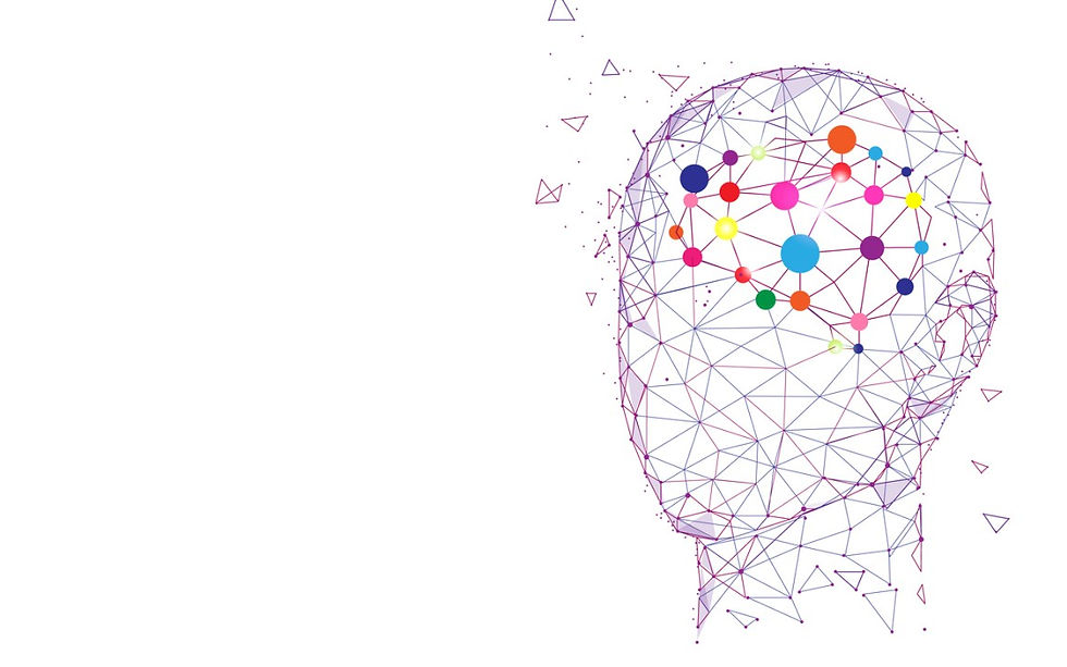 Emotions and Strategic Decisions Making 