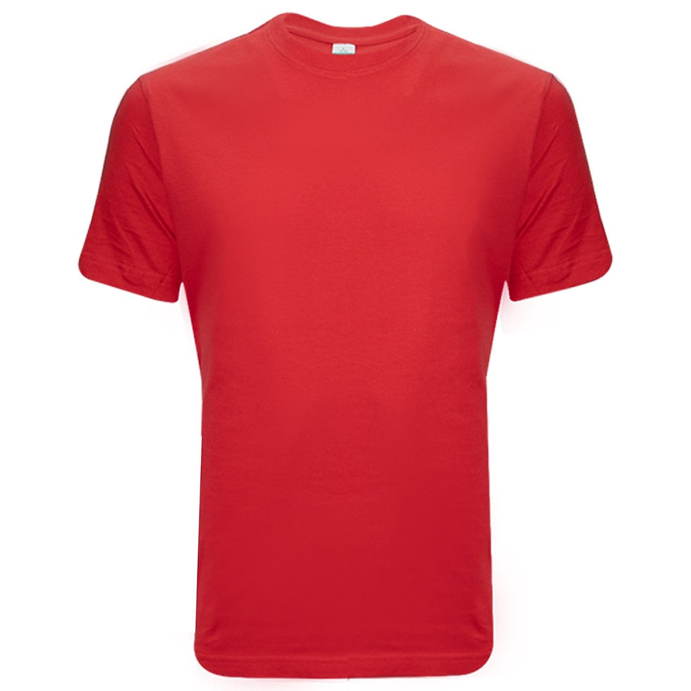 Thumbnail: P901- Adult Round Neck T-Shirt