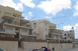 אלמוג כדאי