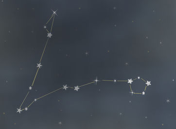 Fritzi und Freddi und eine Sternennacht im November