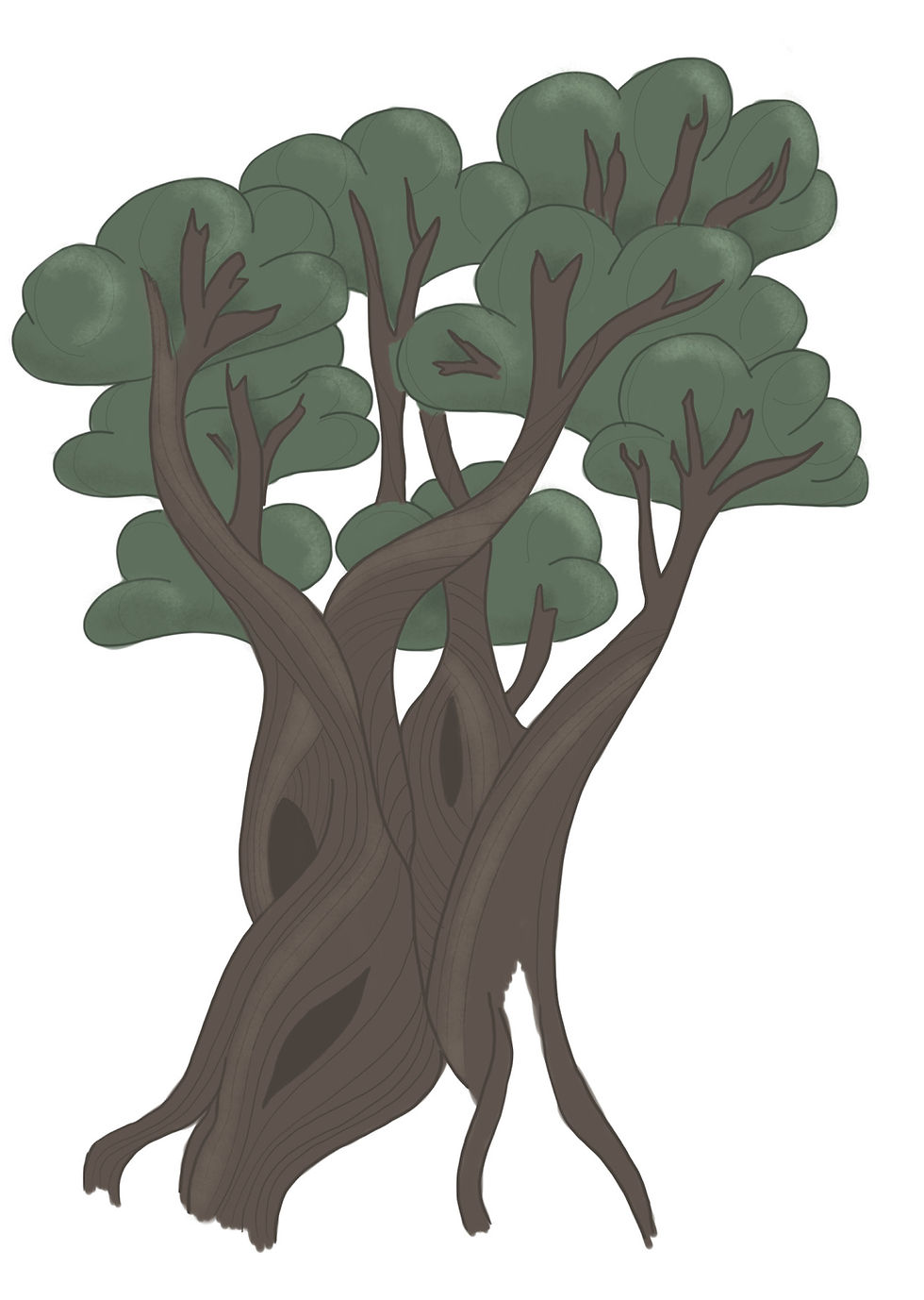 Alter dicker Baum. Steineiche