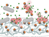 An illustration of two-sided nanoparticles adhering to bacteria.