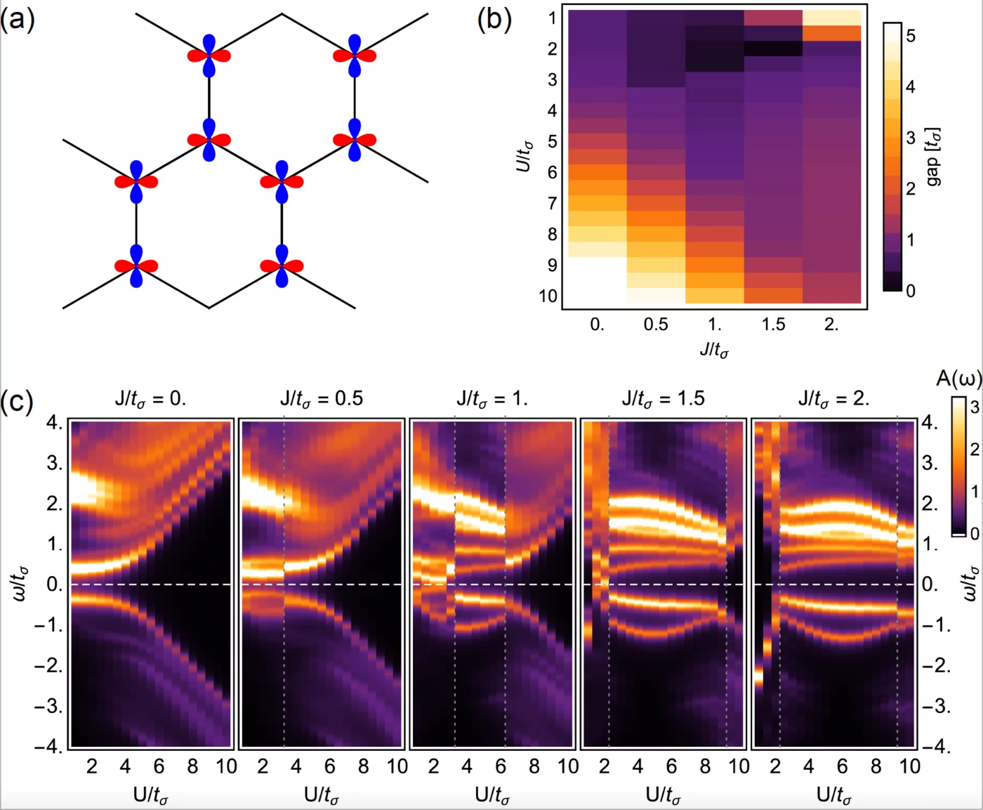Charge gap emerging in twisted MoS2 upon decreasing the twist angle (increasing U/t). As the charge gap grows, magnetic phases are stabilized. This in turn gives rise to exotic quantum magnetism in twisted MoS2. @ Martin Claassen