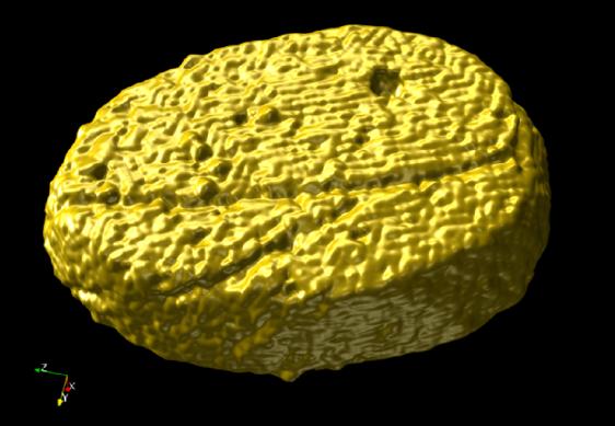 STEM tomography image of a 3D-grown 100-200-nanometer crystalline disc grown from 3D gold-polystyrene polymer-grafted nanoparticles. @ Berkeley Lab