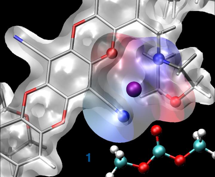 Illustration of caged lithium ions in a new polymer membrane for lithium batteries. Scientists at Berkeley Lab's Molecular Foundry used a drug-discovery toolbox to design the selective membranes. The technology could enable more efficient flows in batteries and energy storage devices. @ Artem Baskin/Berkeley Lab