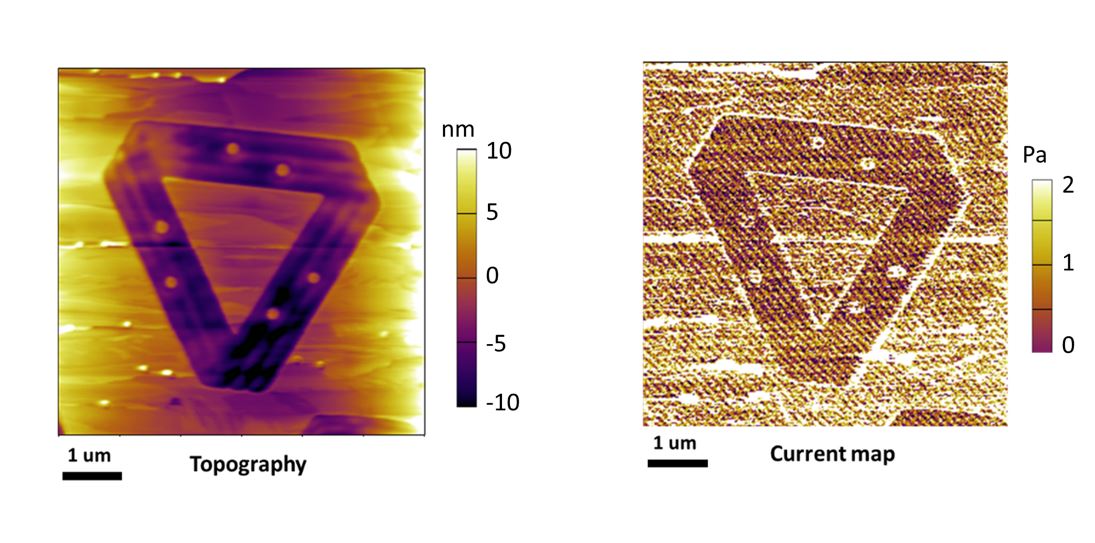 Using varying angles of the FLEET logo to demonstrate that edge effect on conductivity (with current mapped on RHS) is independent of scan direction wrt edge orientation. @ FLEET