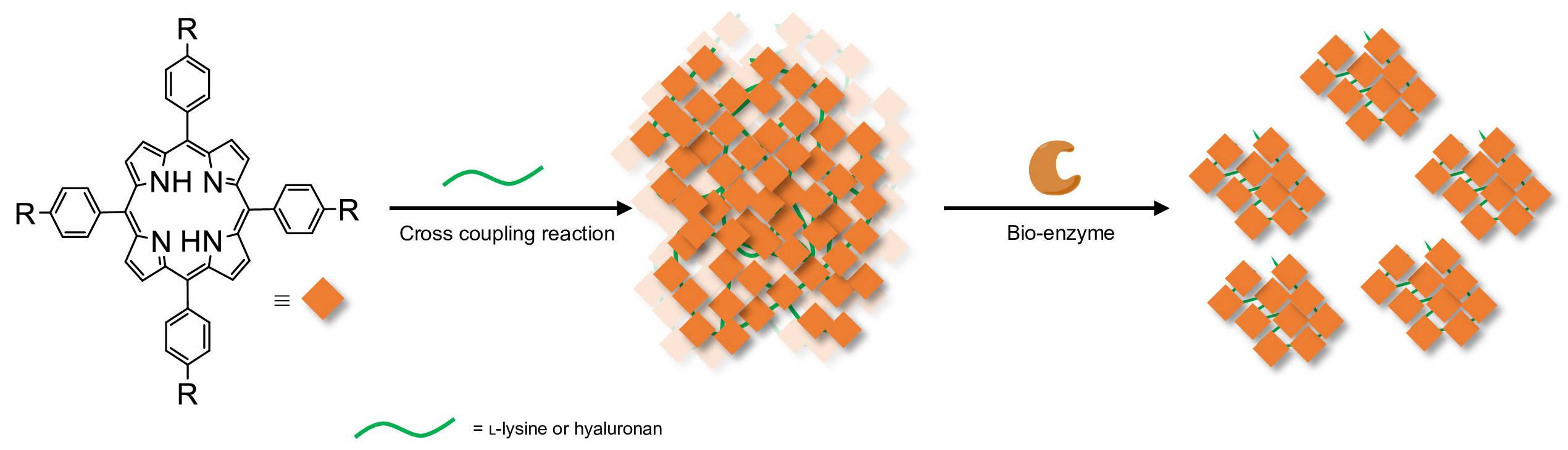 Synthesis of shaped nanoparticles by enzyme treatment. Molecules (orange diamond) are treated with a linker (green line), such as lysine or hyaluronan, to create and aggregate. The aggregate is then treated with a corresponding enzyme, such as trypsin or hyaluronidase, to create shaped nanoparticles. @ Rumana Akter, et al. Nanoscale Horizons.