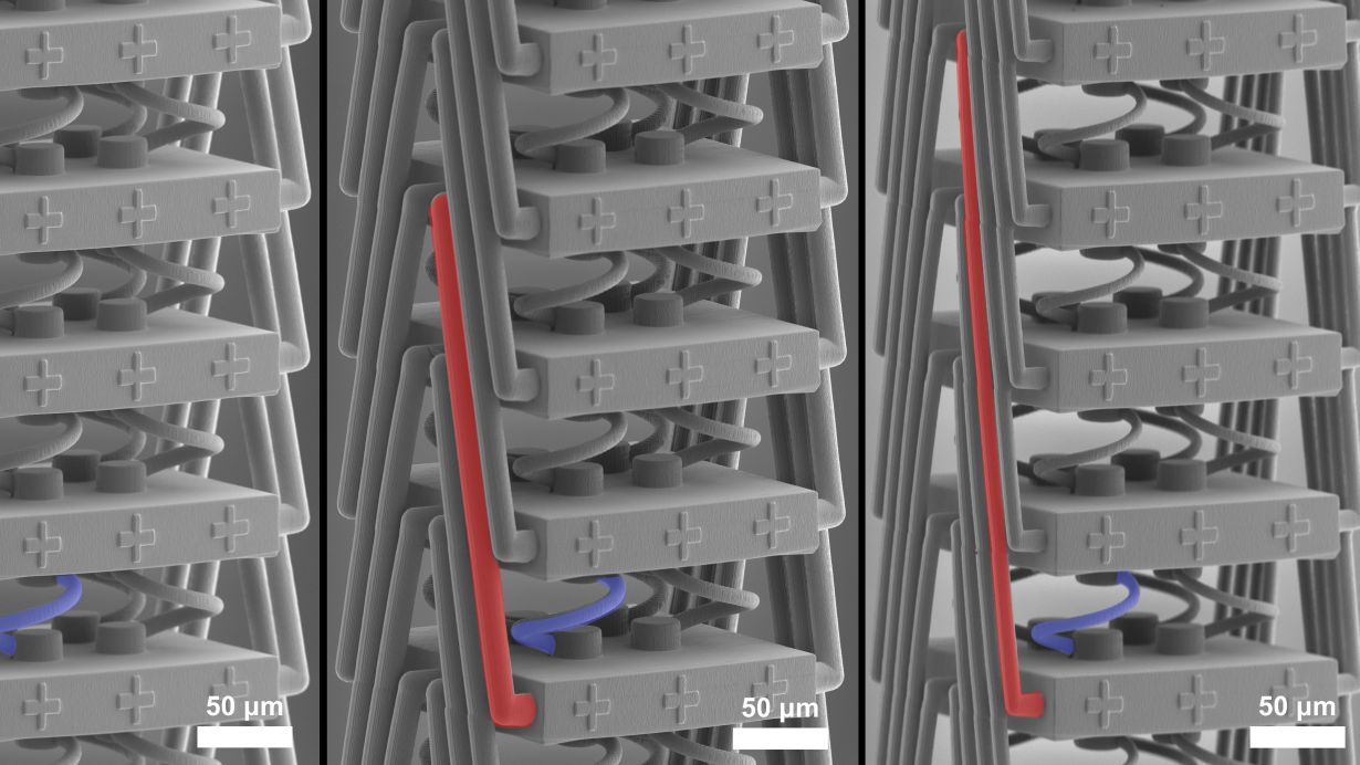 The new metamaterial viewed with a scanning electron microscope; a special structure (red) enables new stretching properties. @ Jonathan Schneider, KIT