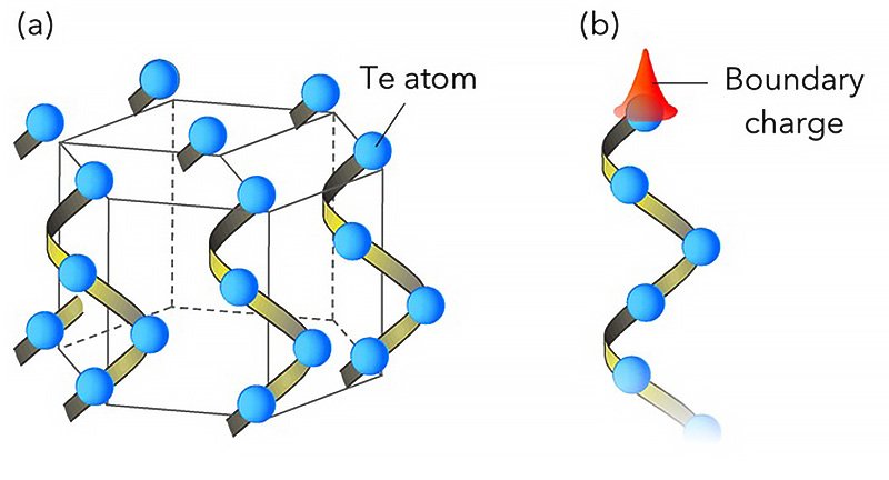 (a) Schematic of Te crystal which is formed by hexagonal arrangement of Te helix chains. (b) Single Te helix chain with boundary charge. @ Tohoku University
