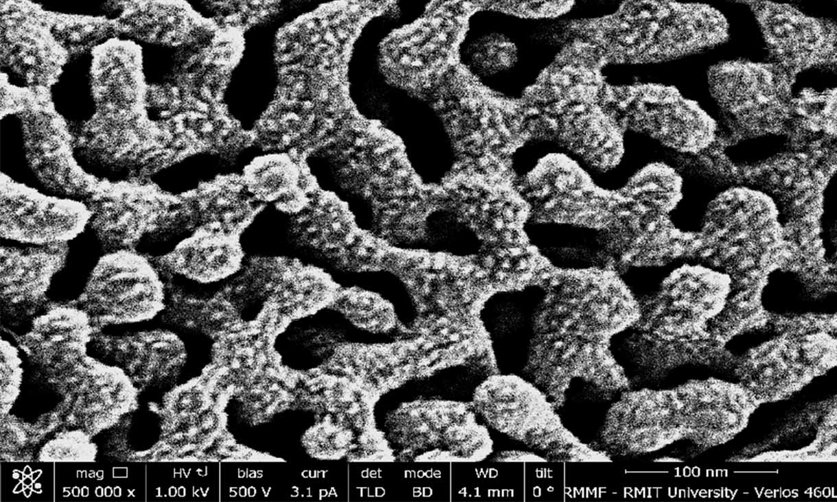 The copper magnified 500,000 times under a scanning electron microscope shows the tiny nano-scale pores in the structure. @ RMIT University