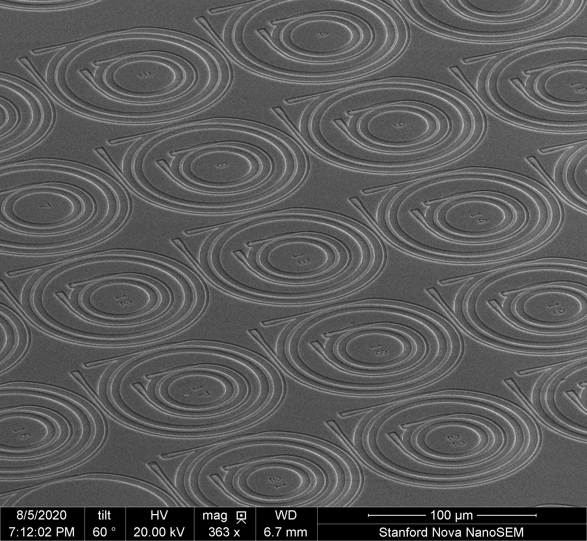 The silicon carbide microrings developed by the Vučković Lab, as seen through a scanning electron microscope at the Stanford Nano Shared Facilities. @ Vučković Lab